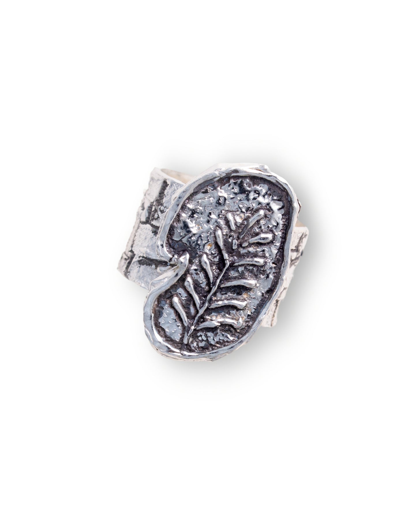 Ancient Jar fragment ring